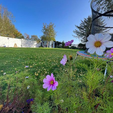 Hillview Bed & Breakfast Enniskerry Bagian luar foto