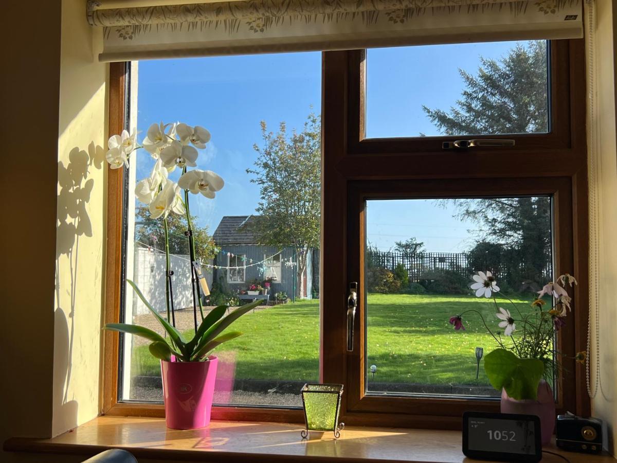 Hillview Bed & Breakfast Enniskerry Bagian luar foto