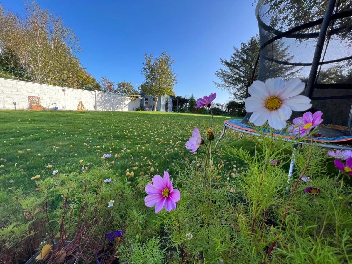 Hillview Bed & Breakfast Enniskerry Bagian luar foto